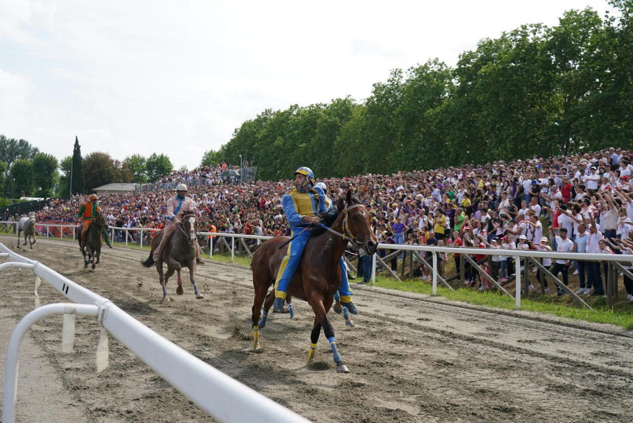 
	Il Palio di Fucecchio

