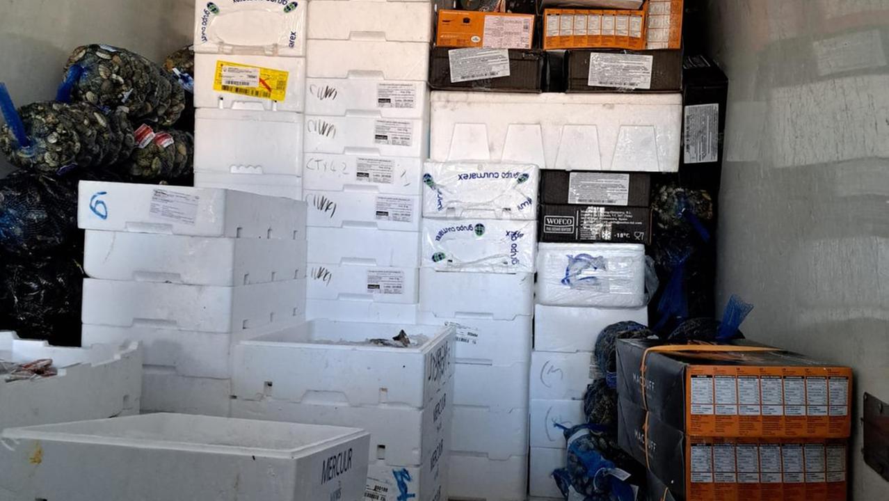 I contenitori controllati dalla polizia municipale