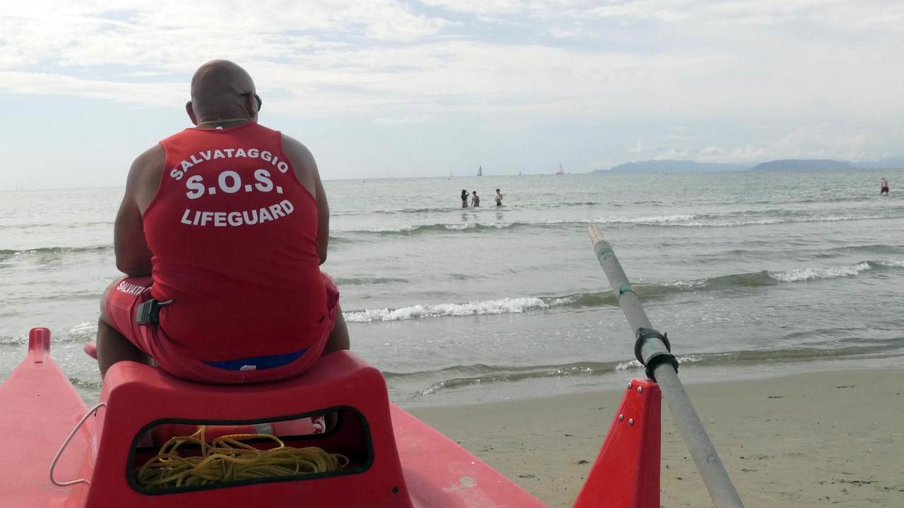 Daniele Bertacca, bagnino del Flora, in servizio (foto Paglianti)
