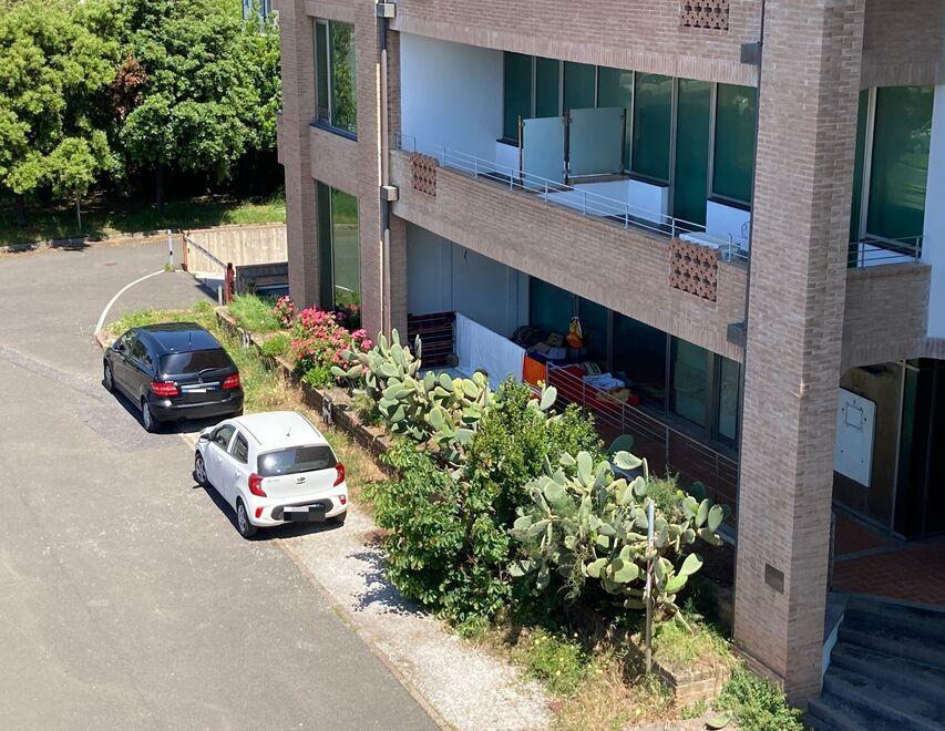 Rosignano, dopo lo sgombero nuovi bivacchi: senza pace l’ex Caravanserraglio<br>
