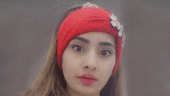 Caso Saman, il maggiore dei carabinieri Pallante in Senato