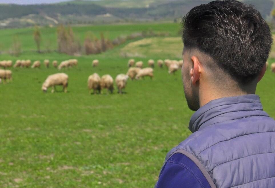 Pecorino, l'assessore Satta: «Difendiamo la nostra identità. Noi non cambiamo idea»