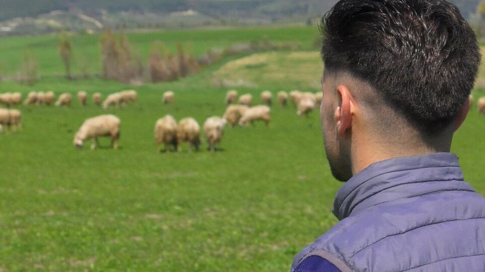 Pecorino, l'assessore Satta: «Difendiamo la nostra identità. Noi non cambiamo idea»