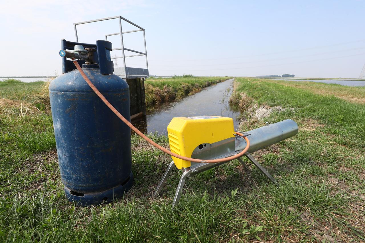 Codigoro, cannonate contro gli uccelli. I residenti: «Non dormiamo più»