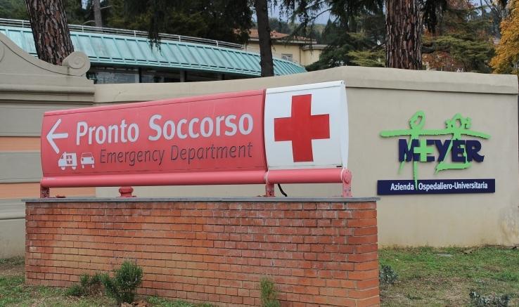 
	L'ospedale pediatrico Meyer di Firenze

