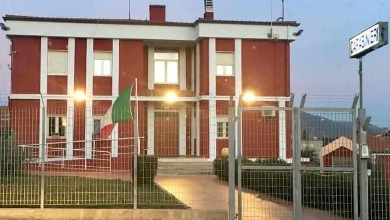 Ubriaco vaga per il centro con due cani senza guinzaglio