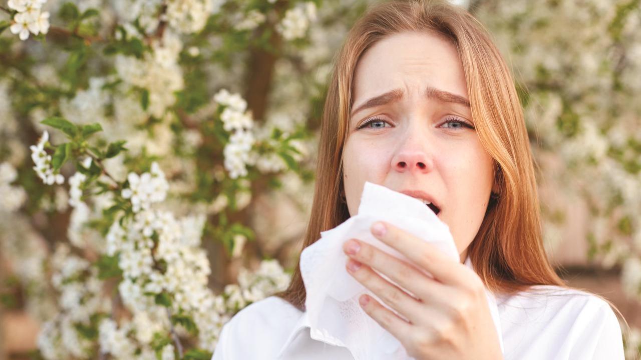 (foto di repertorio)