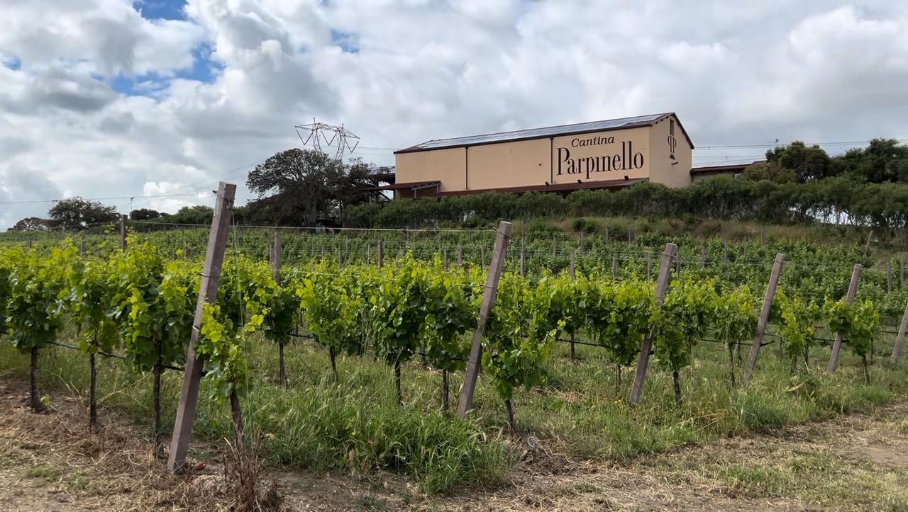 
	I Poderi Parpinello, una delle cantine premiate con la medaglia d'oro

