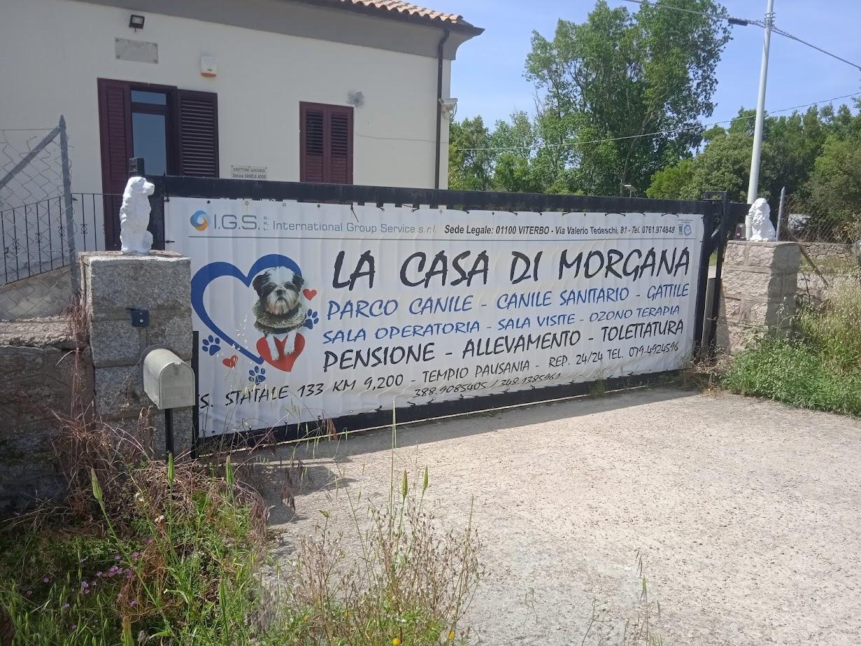 Il gestore del canile di Padulo replica: «Contro di noi solo accuse false»