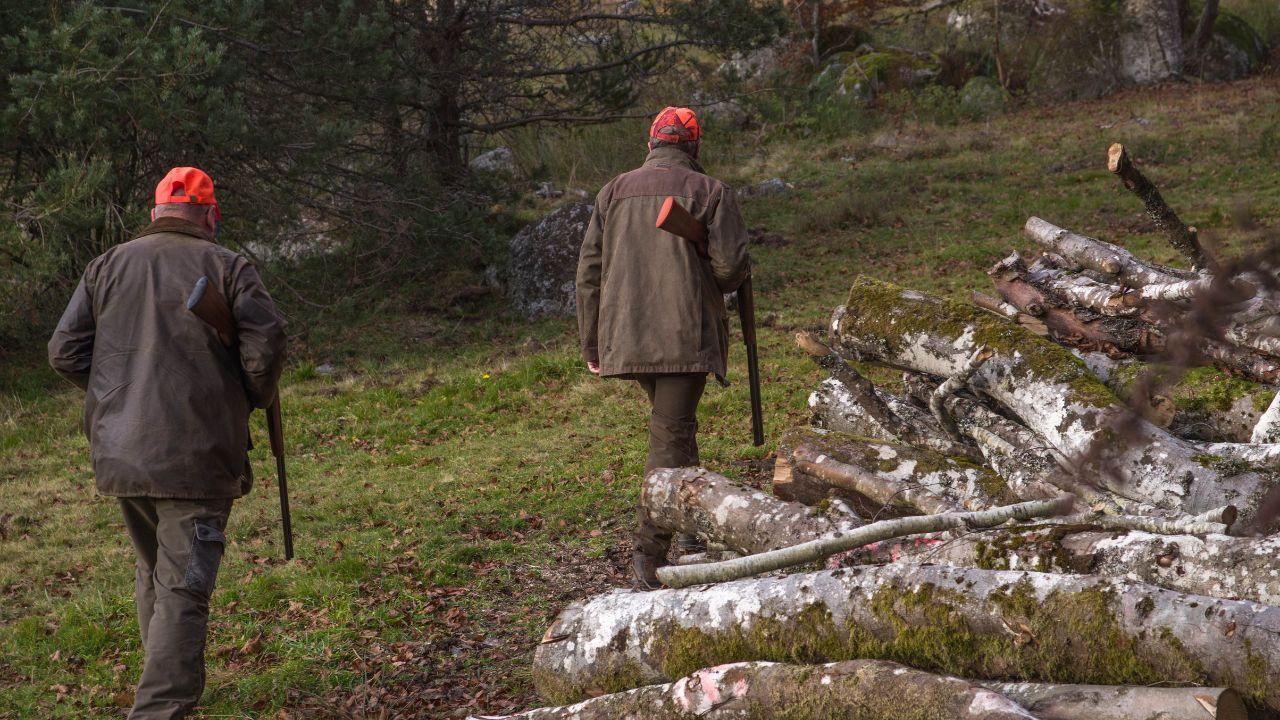 Potrebbero cambiare presto le norme per la caccia in Italia (Foto di repertorio)
