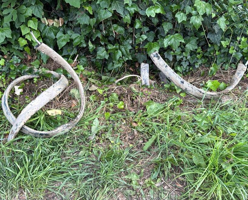 Versilia, tranciano i cavi: senza rete oltre 1.500 fra ditte e famiglie