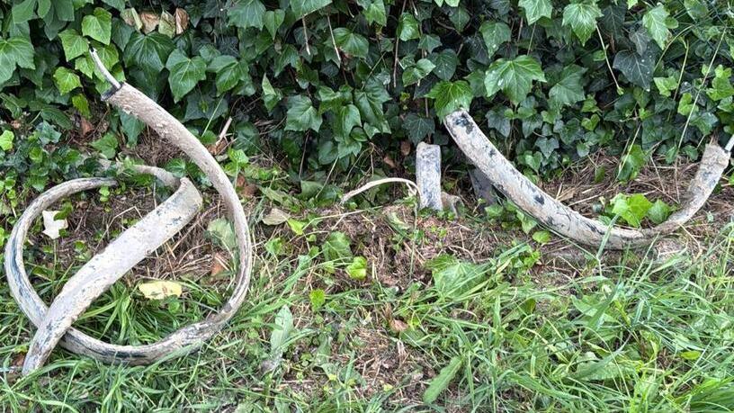 Versilia, tranciano i cavi: senza rete oltre 1.500 fra ditte e famiglie