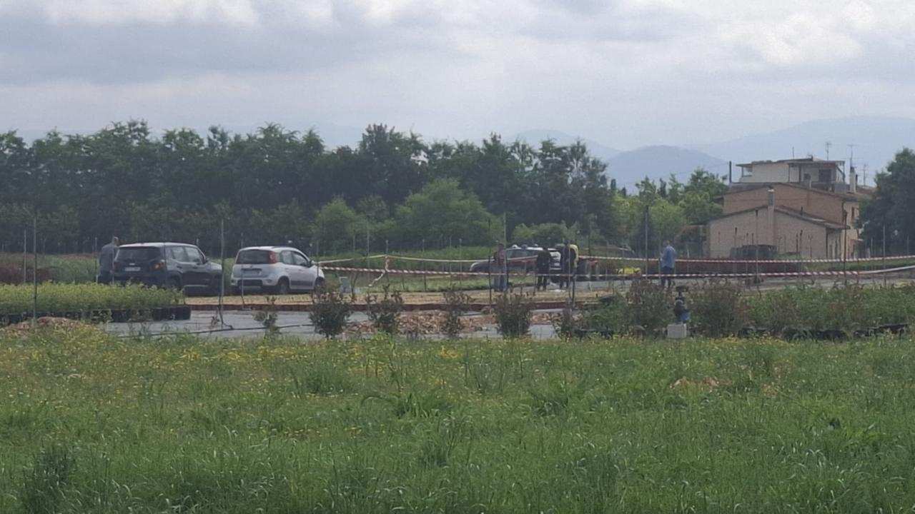 I carabinieri nel vivaio a Pistoia