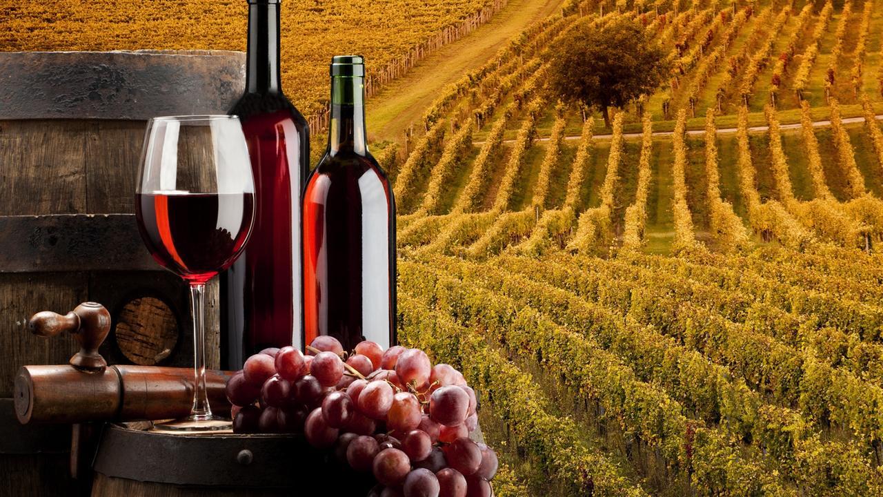 Cantine Aperte, ecco dove andare in provincia di Reggio Emilia