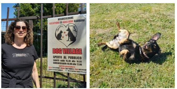 Dieci anni di Dog Village: «La nostra missione: fare uscire i cani dal canile e trovare loro una famiglia»