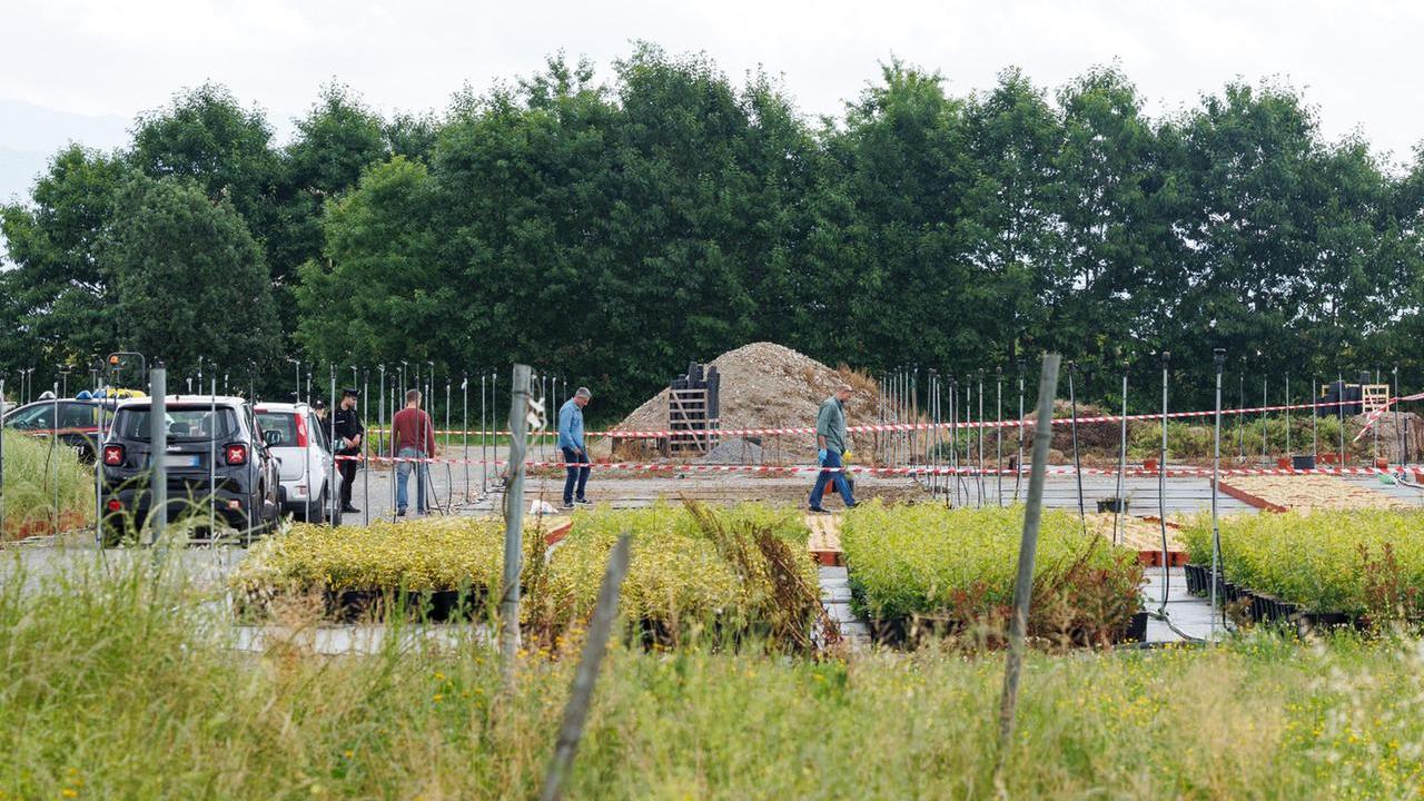 L'interno del vivaio (foto Nucci)