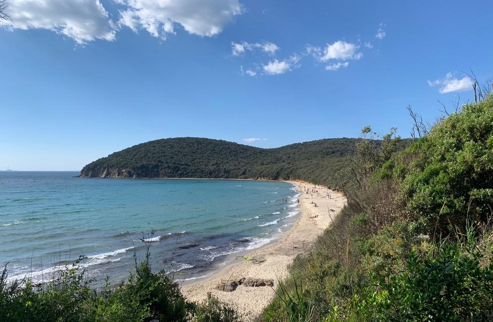 
	Uno scorcio di Cala Violina

