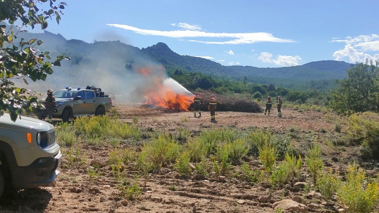 Il personale della Forestale durante un intervento di bonifica dovuto ad un incendio