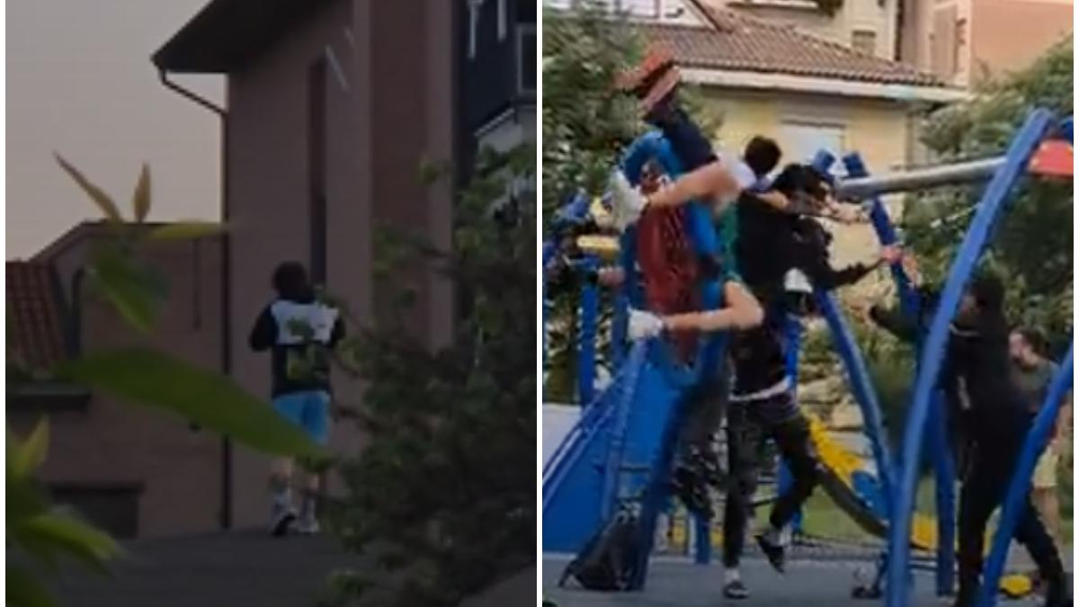 Il branco si ritrova al parco tra via Nicoli e via Righi