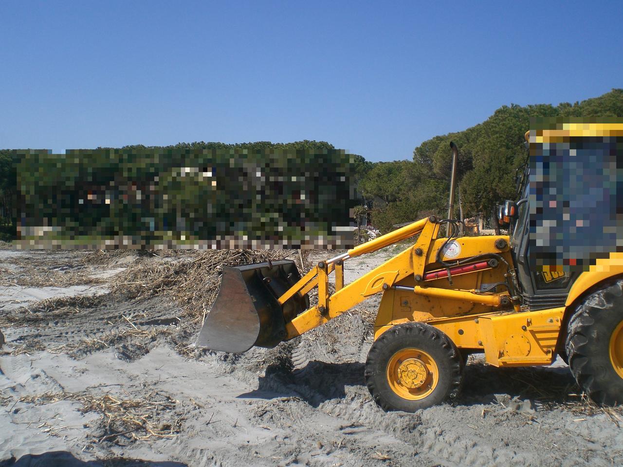 
	Una ruspa su una spiaggia in una foto d'archivio

