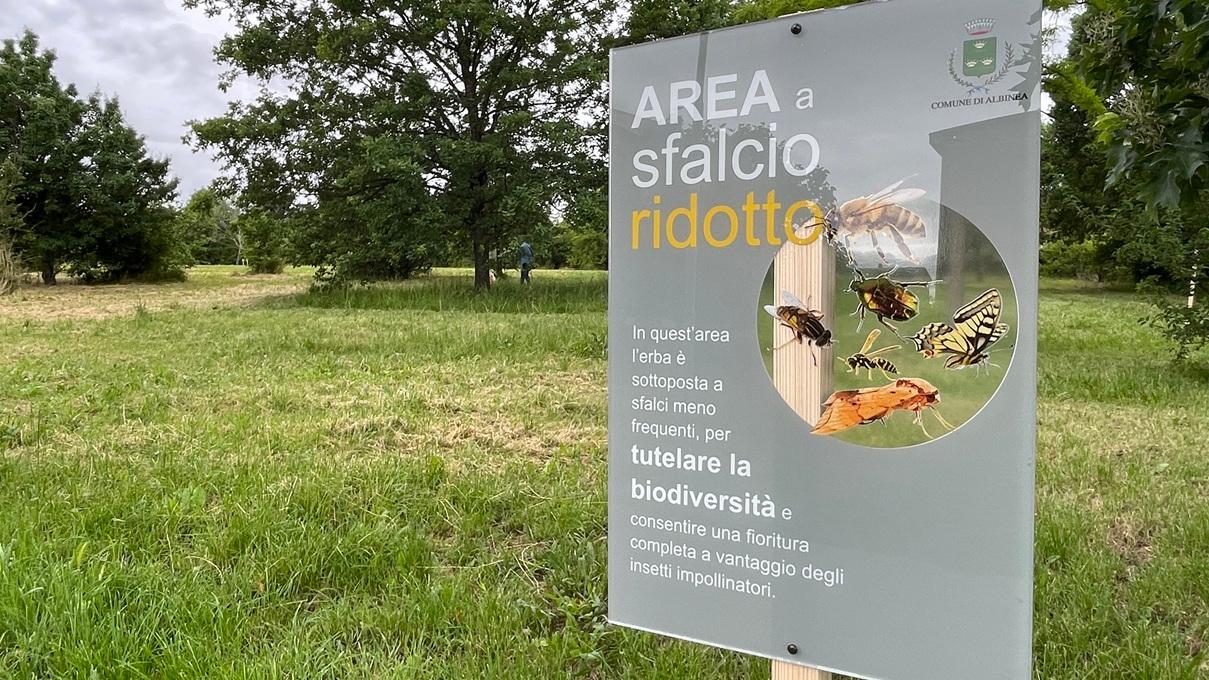 Albinea, sfalci ridotti e tutela della biodiversità al parco Radici di Amicizia