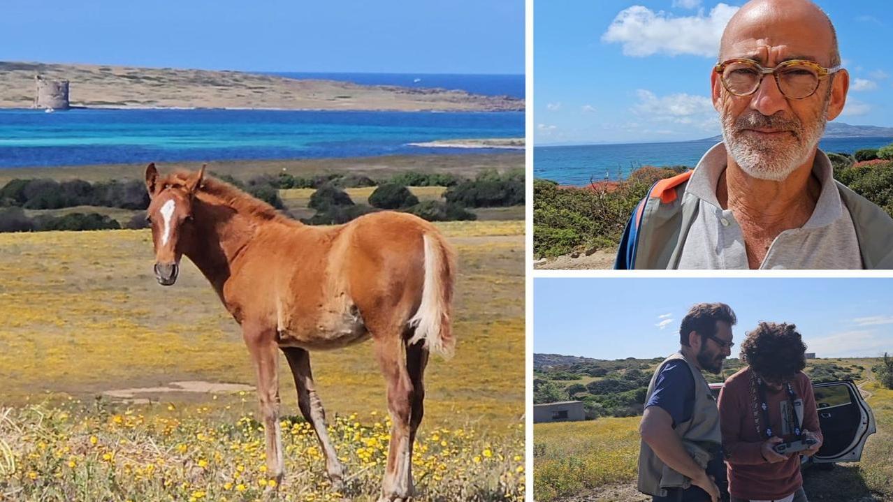 Maurizio Menicucci: «Solo con la presenza dell’uomo l’Asinara può avere un futuro»