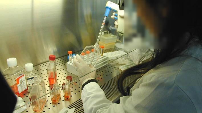 No ai farmaci oncologici per gli over 80, i comitati sanità pubblica: «Bartolazzi si dimetta»