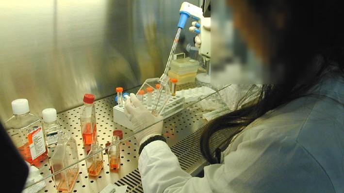 No ai farmaci oncologici per gli over 80, i comitati sanità pubblica: «Bartolazzi si dimetta»