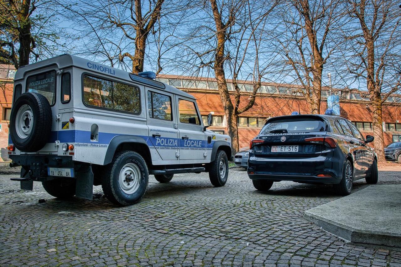 
	L'operazione &egrave; stata condotta da carabinieri e agenti della Polizia Locale

