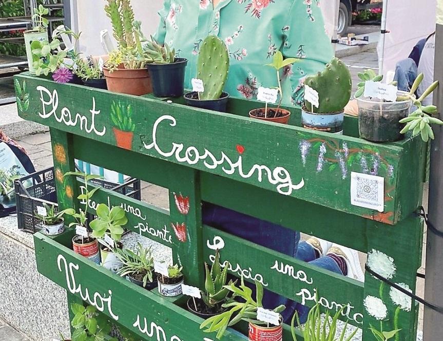 Plant crossing, estetica ma anche per la sostenibilità