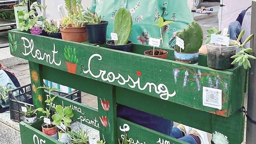 Plant crossing, estetica ma anche per la sostenibilità