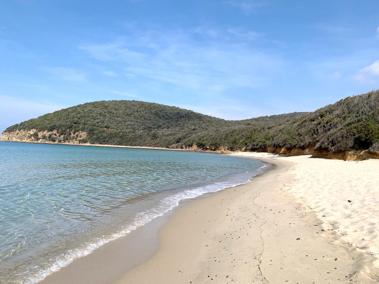 
	La bellissima spiaggia di Cala Violina

