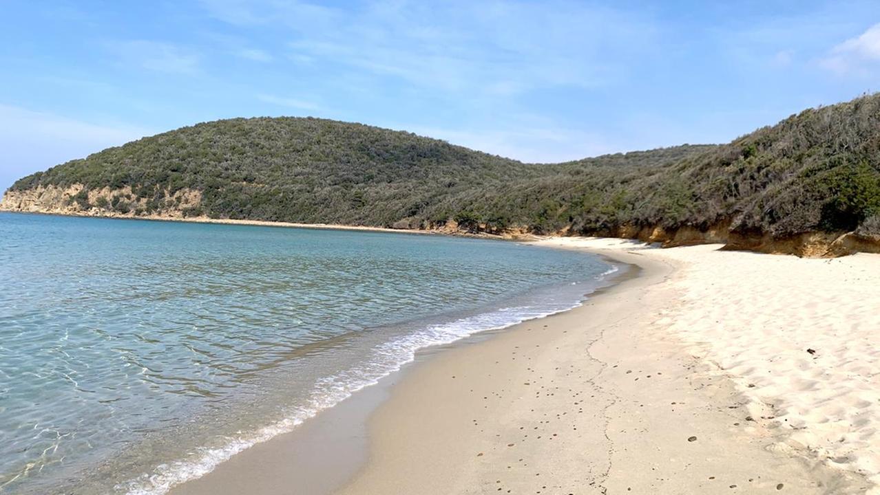 La bellissima spiaggia di Cala Violina