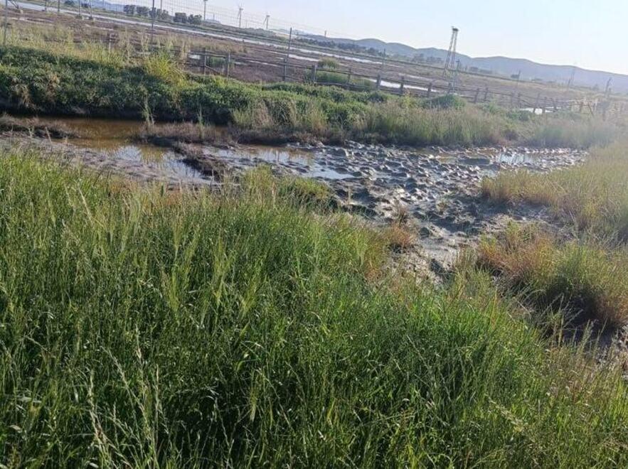 La situazione tra i campi circostanti e l’Oasi Wwf