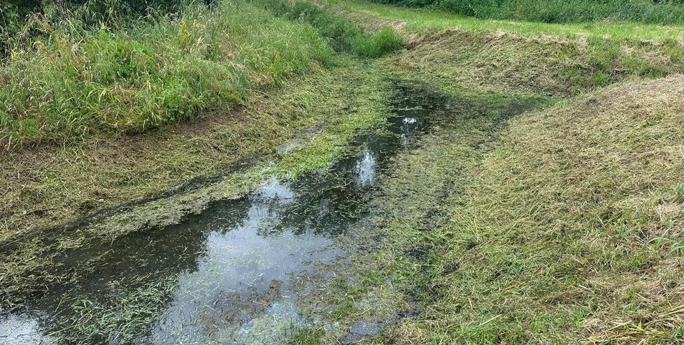 Cinquale, Darsena ko per gli sfalci degli argini