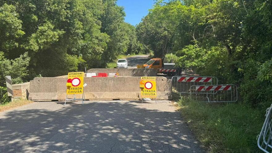 Rosignano, allarme per la provinciale collassata: «Almeno 100mila euro di lavori»<br>