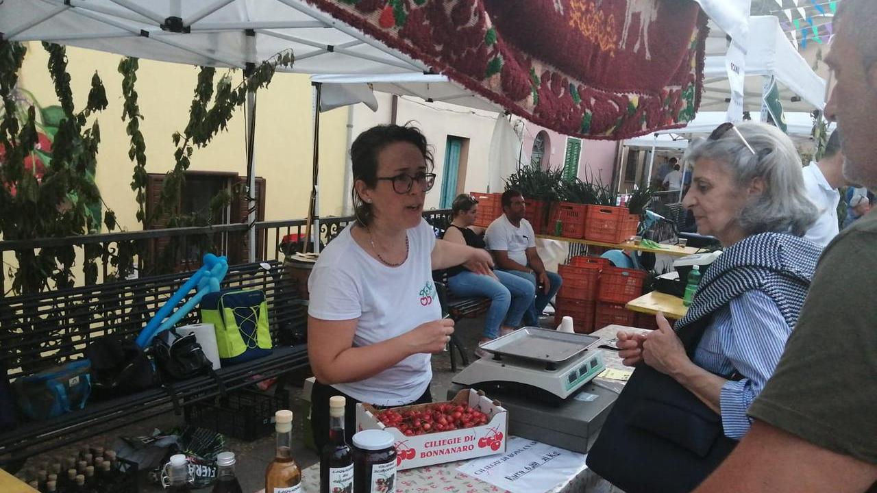 Bonnanaro celebra la ciliegia: il 2 giugno ritorna la Fiera