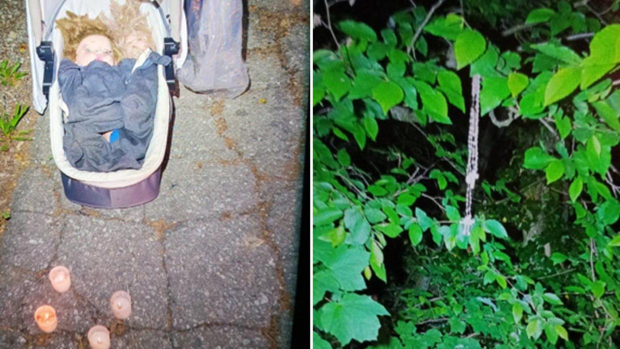 L'inquietante scoperta nel bosco