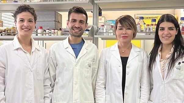 L’elicriso sardo per curare le ferite, la scoperta di un team sassarese 