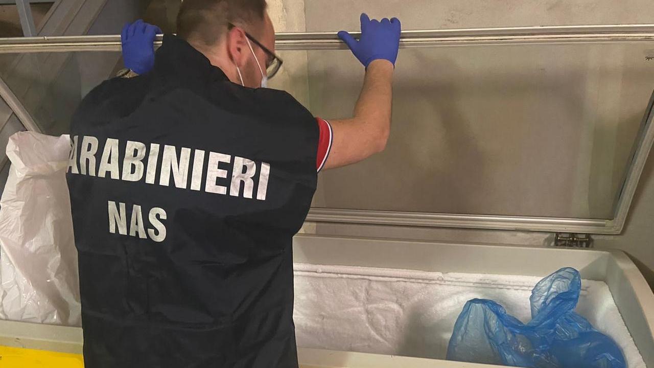 Uccideva capre e pecore senza autorizzazioni: denunciato dopo il blitz del Nas