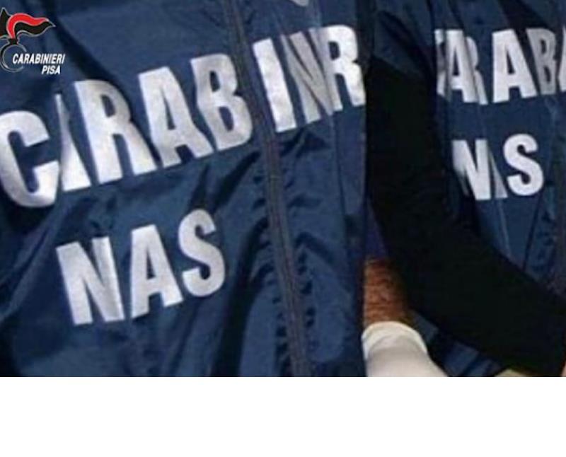 
	Il controllo dei carabinieri del Nas ha portato alla chiusura di un ristorante in centro a Livorno

