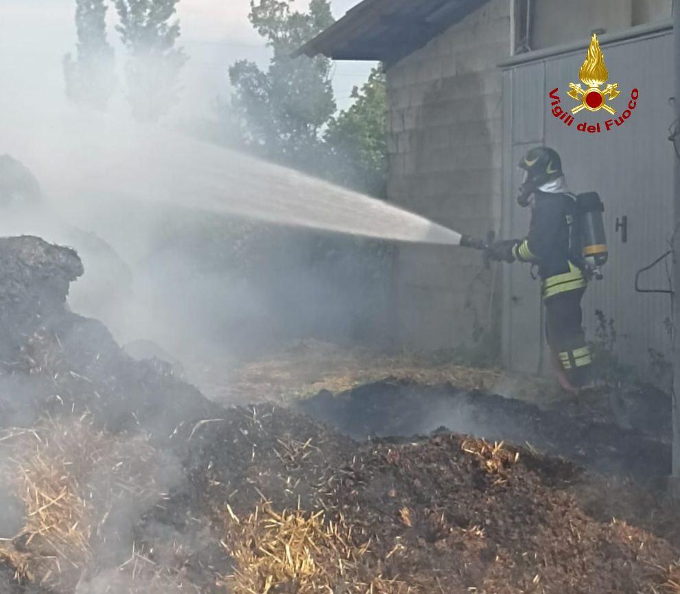 San Martino in Rio, incendio in un centro ippico: cavalli messi in salvo