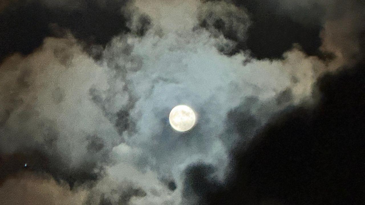 Livorno e la sua danzatrice velata, con la luna nel cuore. Grazie a Stefano Frangerini