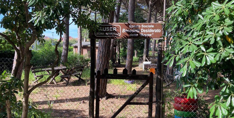 Cecina, un bando per gestire il “pallaio”: «Luogo storico, va valorizzato»