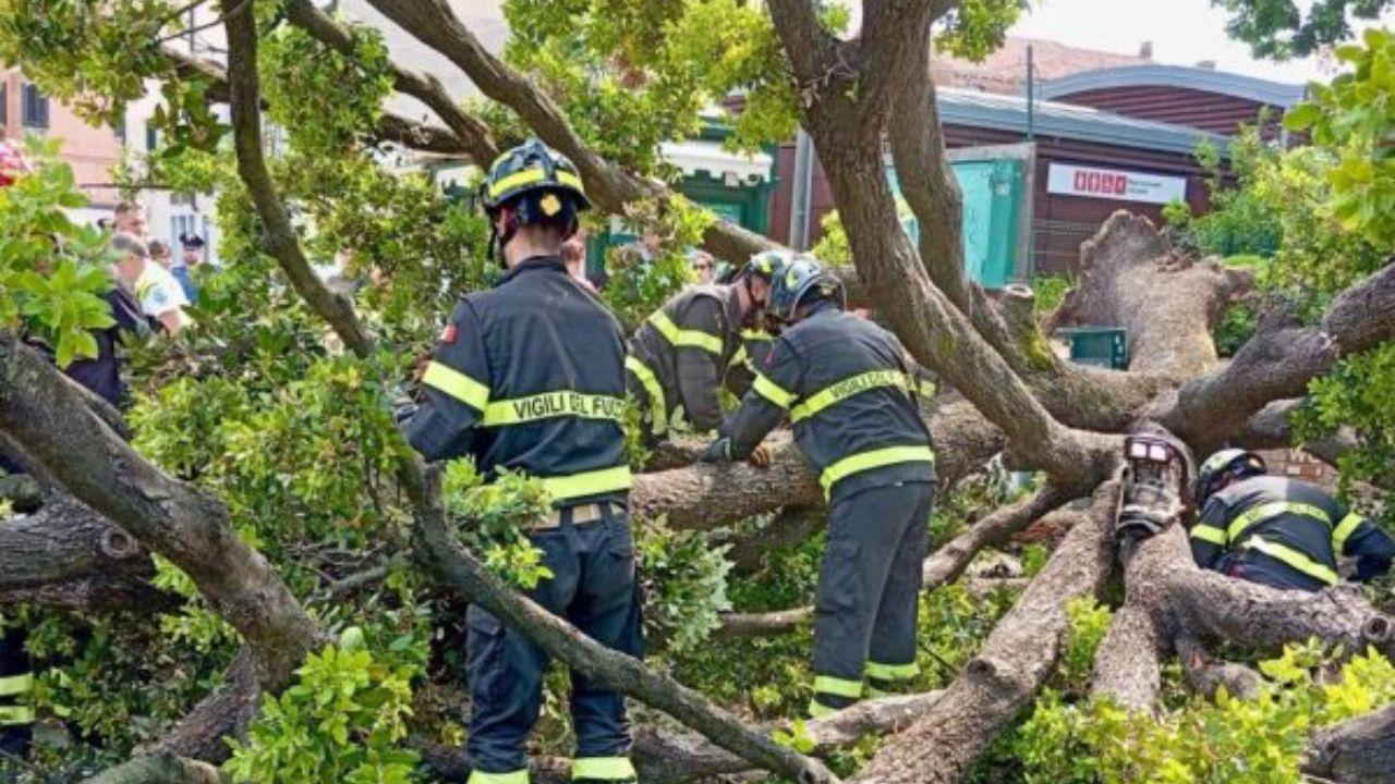 
	(foto vigili del fuoco

