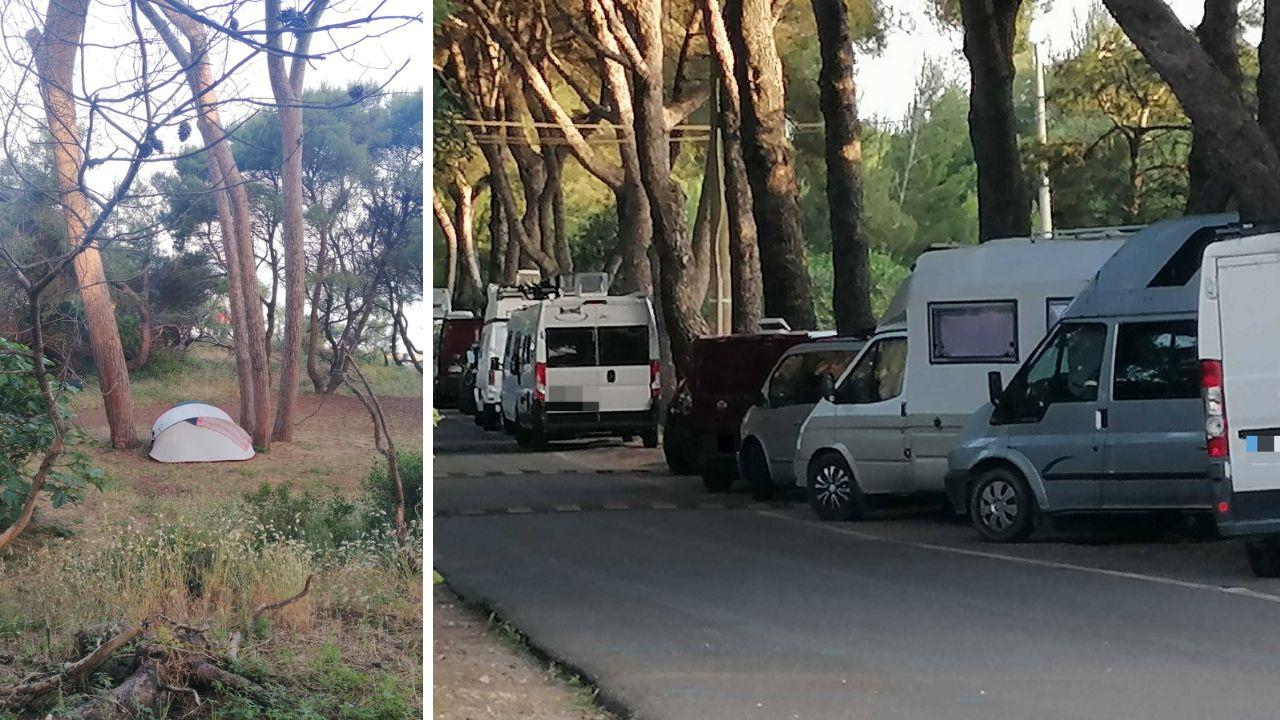 
	Tenda in pineta e sosta selvaggia

