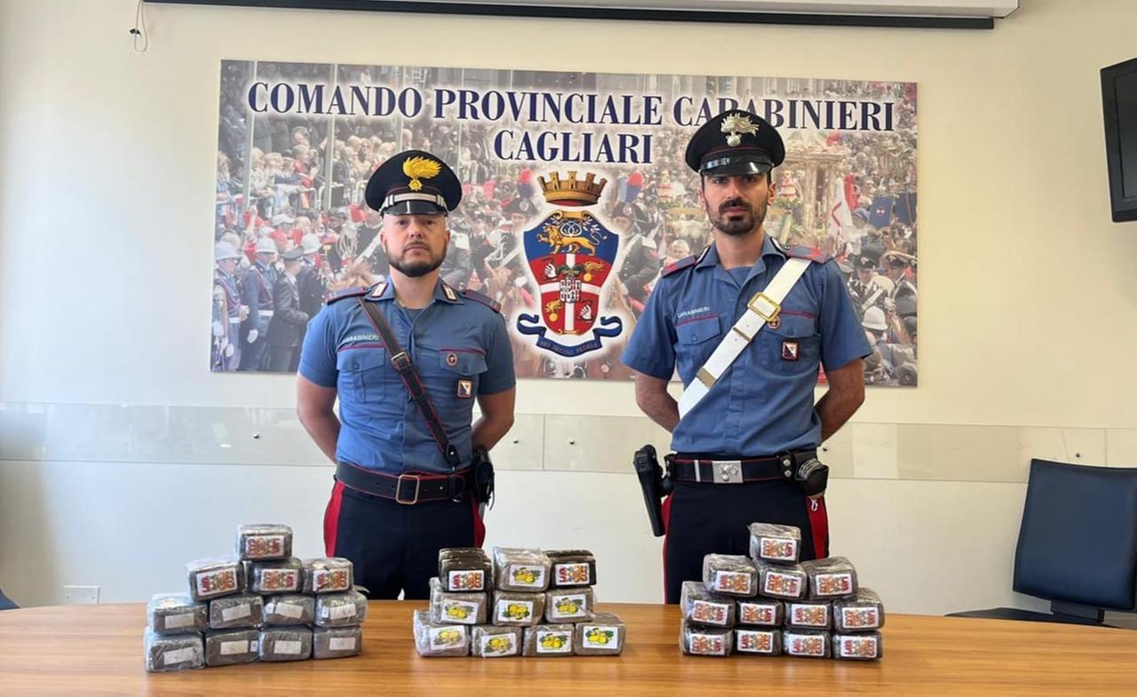 Scoperti venti chili di droga in un pacco fermo al Centro spedizioni