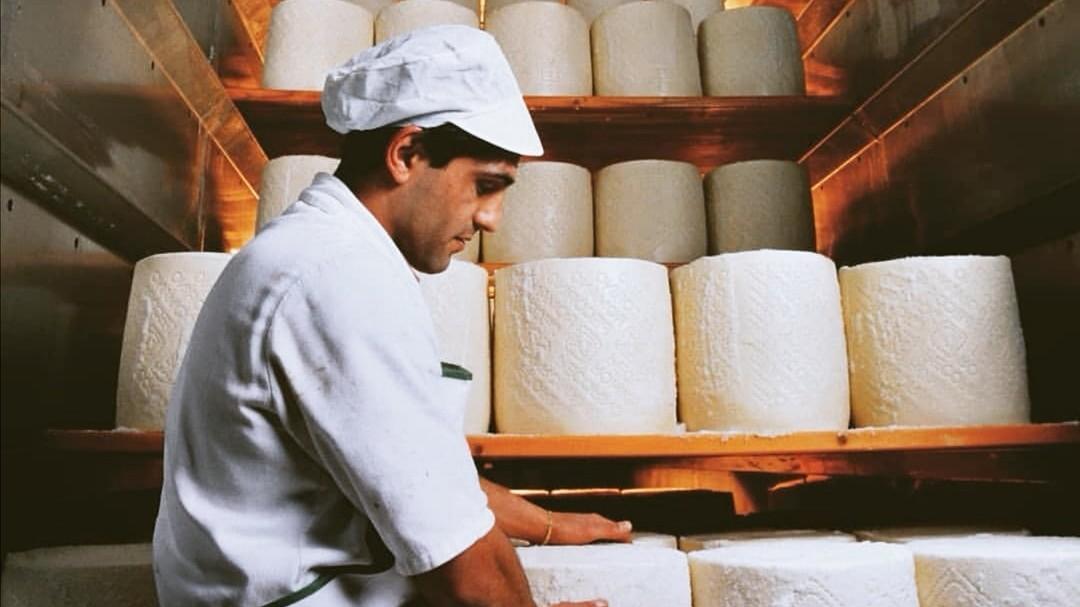 L’agroindustria cresce trainata dai caseifici: fatturato a 1,8 miliardi di euro