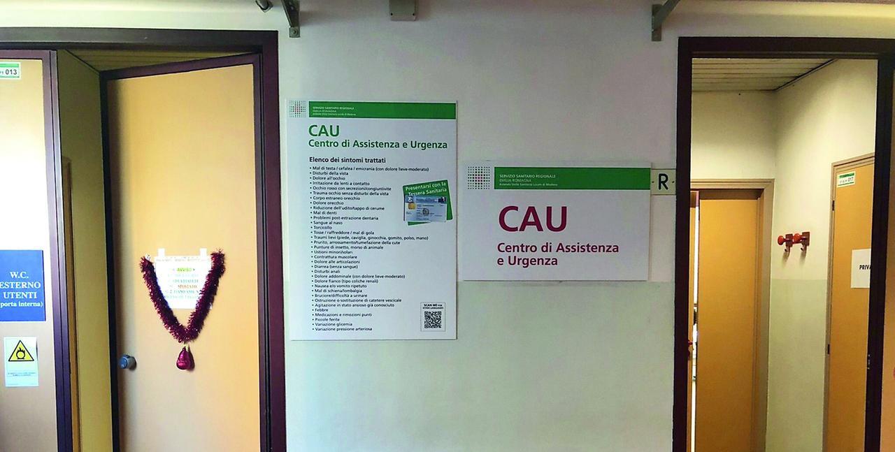 
	I Cau sono nati nel 2023

