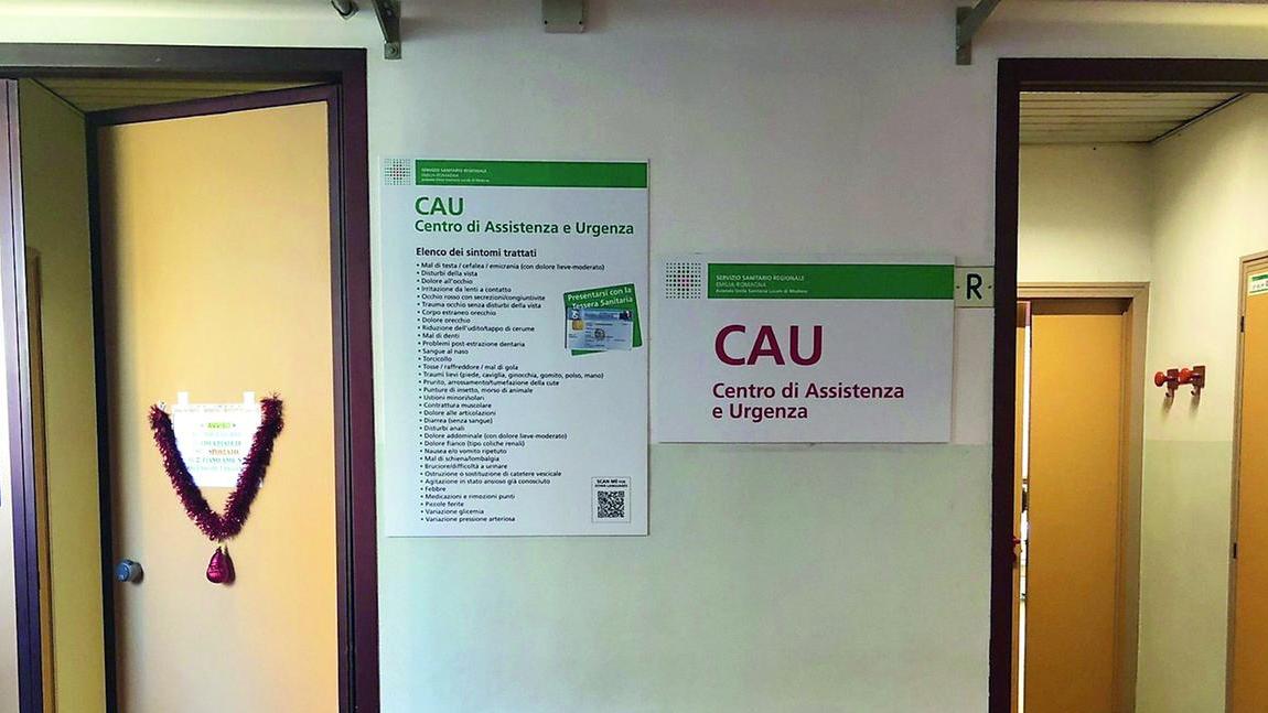 I Cau sono nati nel 2023